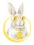 Cool Funny Music Bunny. Yellow sunglasses