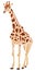 Cool Giraffe Illustration