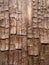 Cool Grunge Wood Bark Texture