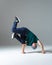 Cool guy breakdancer in hat stands on hands dancing  on gray background. Dance school poster