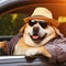 cool hispanic gangster labradoodle dog drive ride lowrider retro car anthropomorphic funny character