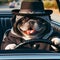 cool hispanic gangster overweight dog drive ride lowrider retro car anthropomorphic funny character