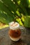 Cool ice caramel macchiato coffee on rough wooden table in topical garden.