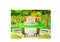 Cool Landscape Field View With Water Fountain, Table, Chair, And Trees Cartoon