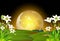 Cool Landscape Grass Field With Moonlight ANd White Flower View cartoon