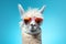 cool Llama wearing shades, blue background, close up