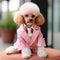 Cool looking dog wearing funky fashion dress , stylish animal posing as supermodel