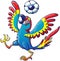 Cool macaw playing with a soccer ball on its head