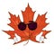 Cool mapple leaf cartoon