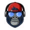 Cool Mascot gorillas with hat, glasses and headphone