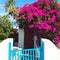 Cool Mediteranian House with beautiful flowers