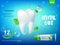 Cool mint toothpaste and tooth realistic vector