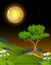 Cool Night Landscape View With Grass Field, Trees, And Flowers Cartoon