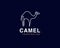 Cool one line Camel logo design and unique animal concept, can be used as a sign, app Icon or symbol, multi-layer vector and easy