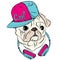 Cool Pug with a cap and headphones. Print on clothes or a postcard. Hipster.