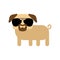 Cool pug with glasses and goatee beard