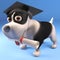 Cool puppy dog in mortar board has graduated with his diploma scroll, 3d illustration