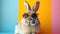 Cool Rabbit with Shades on Vibrant Background - Sunny Bunny