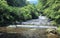 Cool refreshing cascades of a stream hidden in a mysterious forest of lush greenery