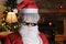 Cool Santa Claus wearing funky sunglasses