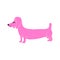 Cool strange Pink dachshund. comic dog character illustration