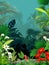 Cool Tropical Rain Forest With Ivy Plant and Flower Cartoon