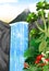 Cool Waterfall With Tropical Plant Flower View Cartoon