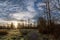 Cool winter morning sunrise on Sammamish river trail with silhouettes of deciduous trees in Redmond Washington