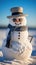 Cool Winter Vibes: Cute Snowman Sporting Stylish Sunglasses