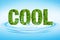 Cool word leaves of mint, menthol, on fresh water