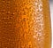 Cooled glass of beer close-up.  Small water drops on cold glass surface