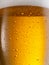 Cooled glass of beer close-up. Small water drops on cold surface of beer glass