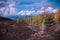 Cooled lava field and autumnal mixed forest in Etna Park