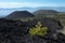 Cooled lava and volcanic cones in Etna Park, Sicily