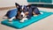 Cooling Comfort Celebrating National Dog Appreciation Day with a Vibrant Dog Cooling Mat.AI Generated