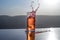 Cooling summer drink concept. Cocktail glasses splashing on sunset. Close up wet glass of cold drink on the terrace