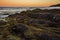 Coolum beach at the Sunshine Coast