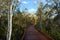 Coombabah Lakelands -Queensland Australia