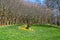 A cooper statue of a little girl holding a butterfly surrounded by lush green grass, bare winter trees, colorful flowers