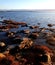 Coorong Afternoon Sun