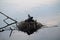 A coot nest fastened with branches, the mother looks after the chicks. Coot, Fulica atra, is a medium-sized bird in the family