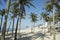 Copacabana Beach Rio de Janeiro Palm Trees