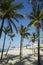 Copacabana Beach Rio de Janeiro Palm Trees