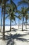 Copacabana Beach Rio de Janeiro Palm Trees