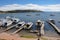 Copacabana Docks on Titicaca Lake, Bolivia