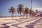 Copacabana with palms and mosaic of sidewalk in Rio de Janeiro