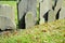 Copp\'s Hill Burying Ground