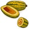 Copped Courge Spaghetti winter Squash Clipart.