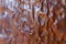 Copper crumpled metal sheet with scratches as background or backdrop