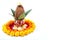 Copper Kalash with coconut , leaf and floral decoration on a white background. essential in hindu puja.